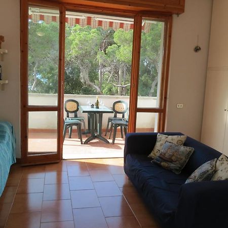 Bellavista Beachfront Apartments 奎尔西亚内拉 外观 照片