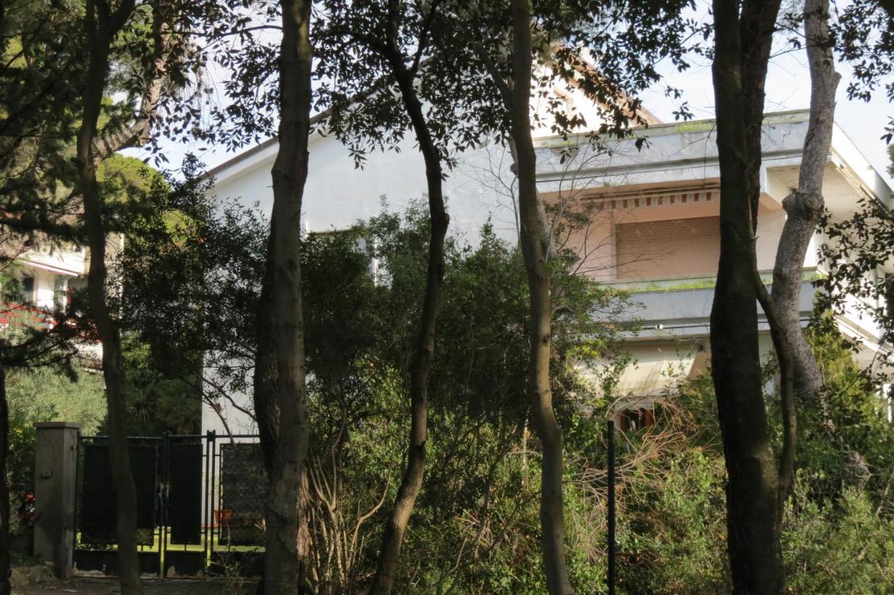 Bellavista Beachfront Apartments 奎尔西亚内拉 外观 照片