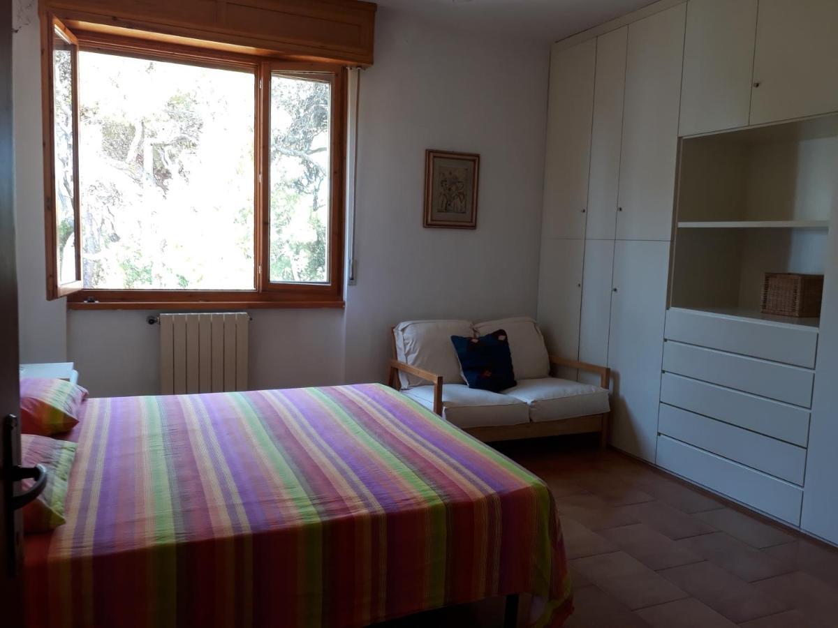 Bellavista Beachfront Apartments 奎尔西亚内拉 外观 照片